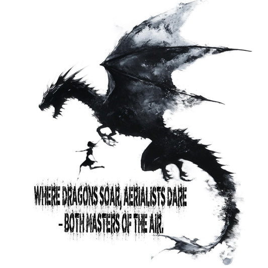 Magical Aerialist Dragon Rider T-Shirt - Fantasy Apparel
