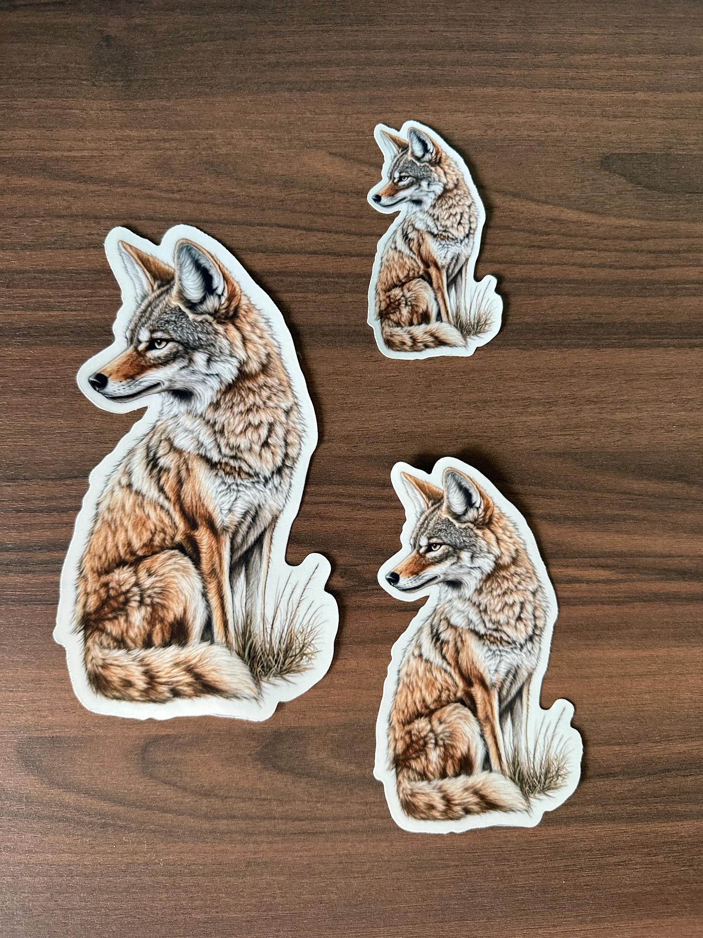 Majestic Coyote Vinyl Sticker