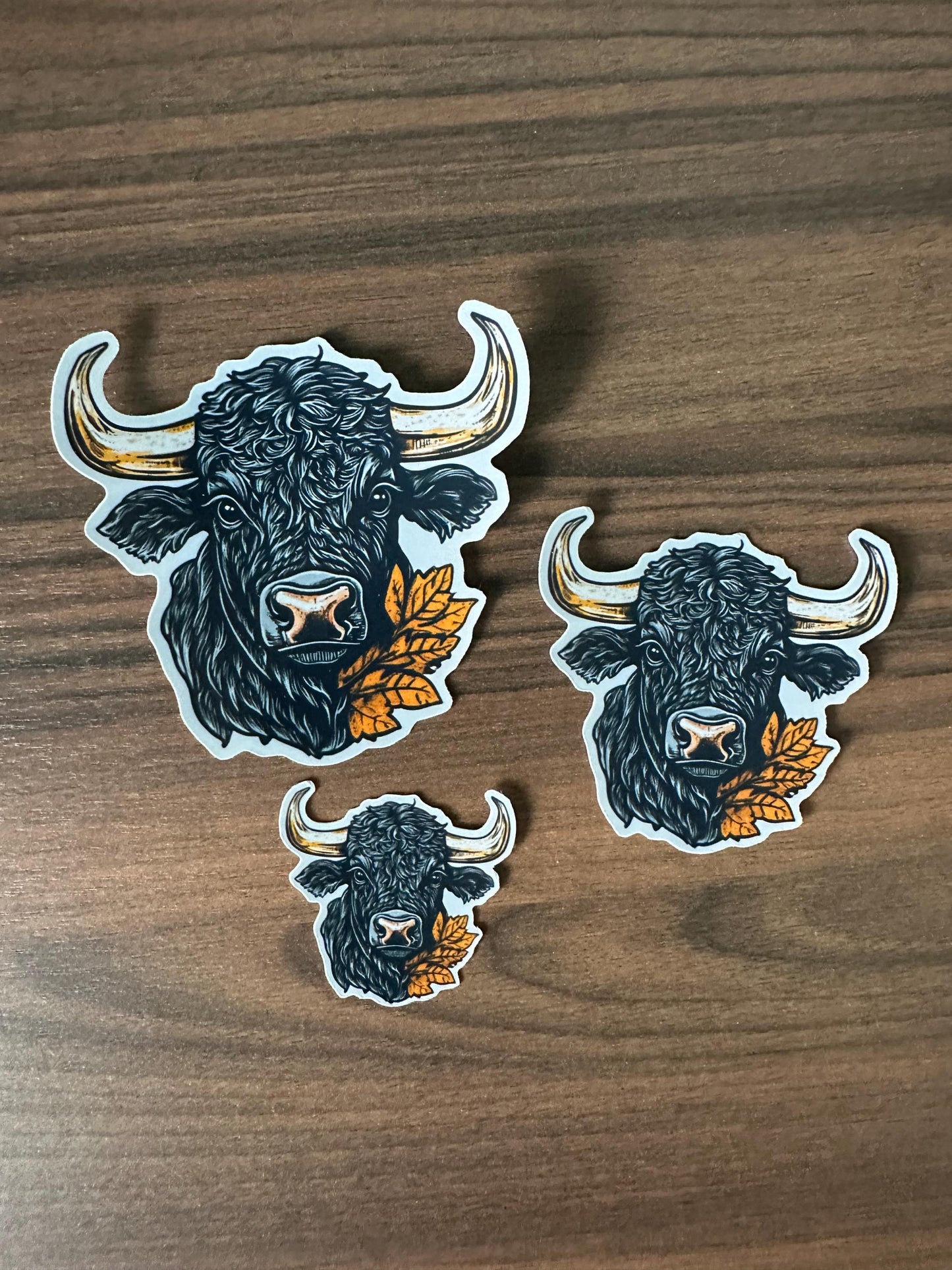 Black Angus Cow Sticker - Ranch Bull Western Vinyl Decal